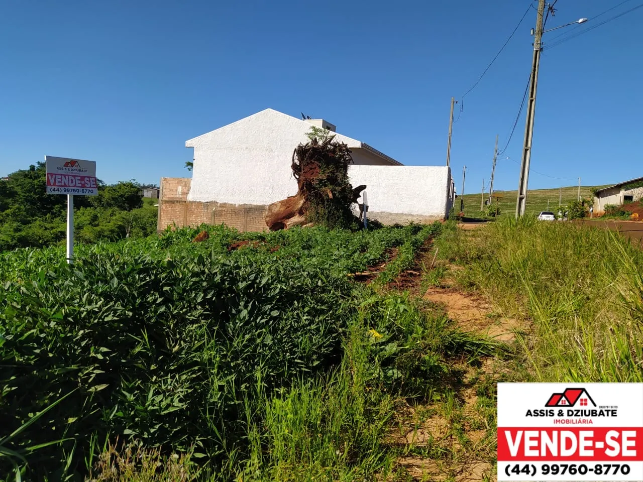 Terreno no Loteamento São Paulo em Iretama - PR — foto 3