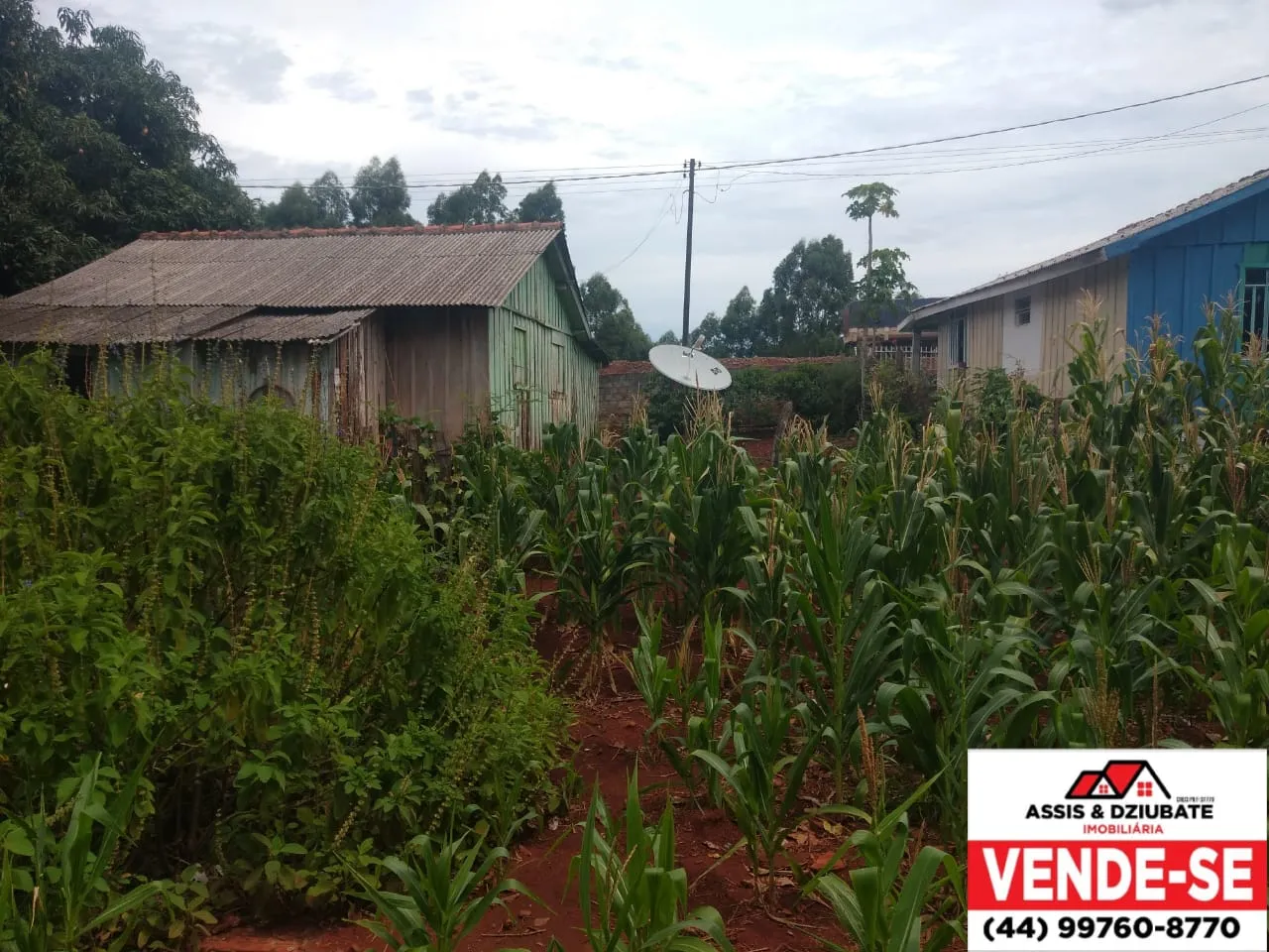 Terreno com casa de madeira perto da coamo em Iretama - PR — foto 4