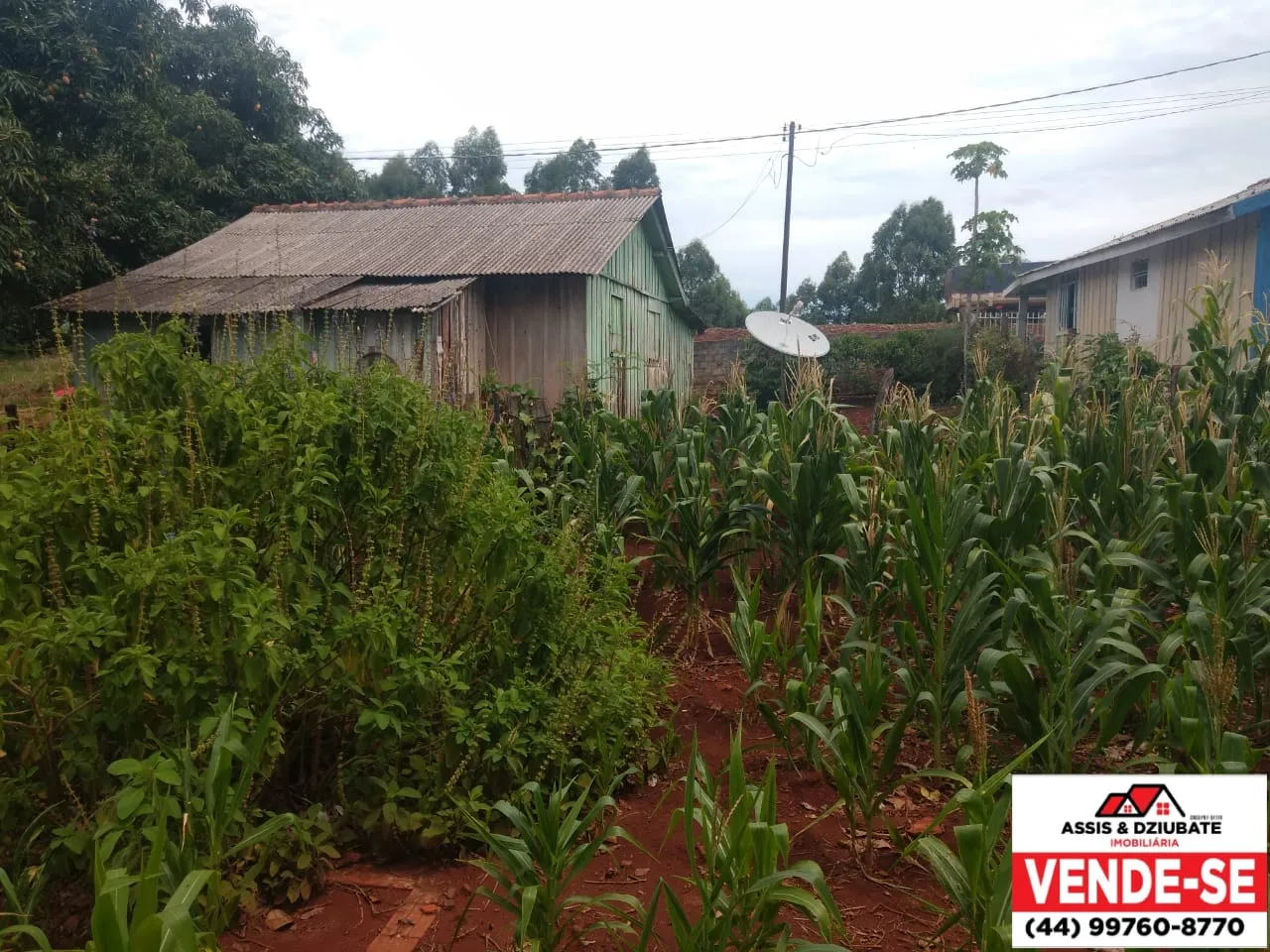 Terreno com casa de madeira perto da coamo em Iretama - PR — foto 2