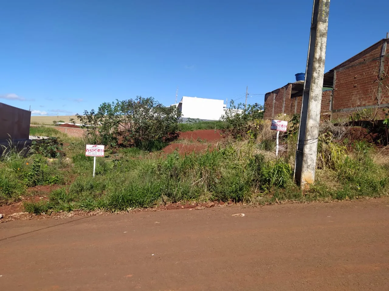 Dois Terrenos a venda em Iretama-PR — foto 3