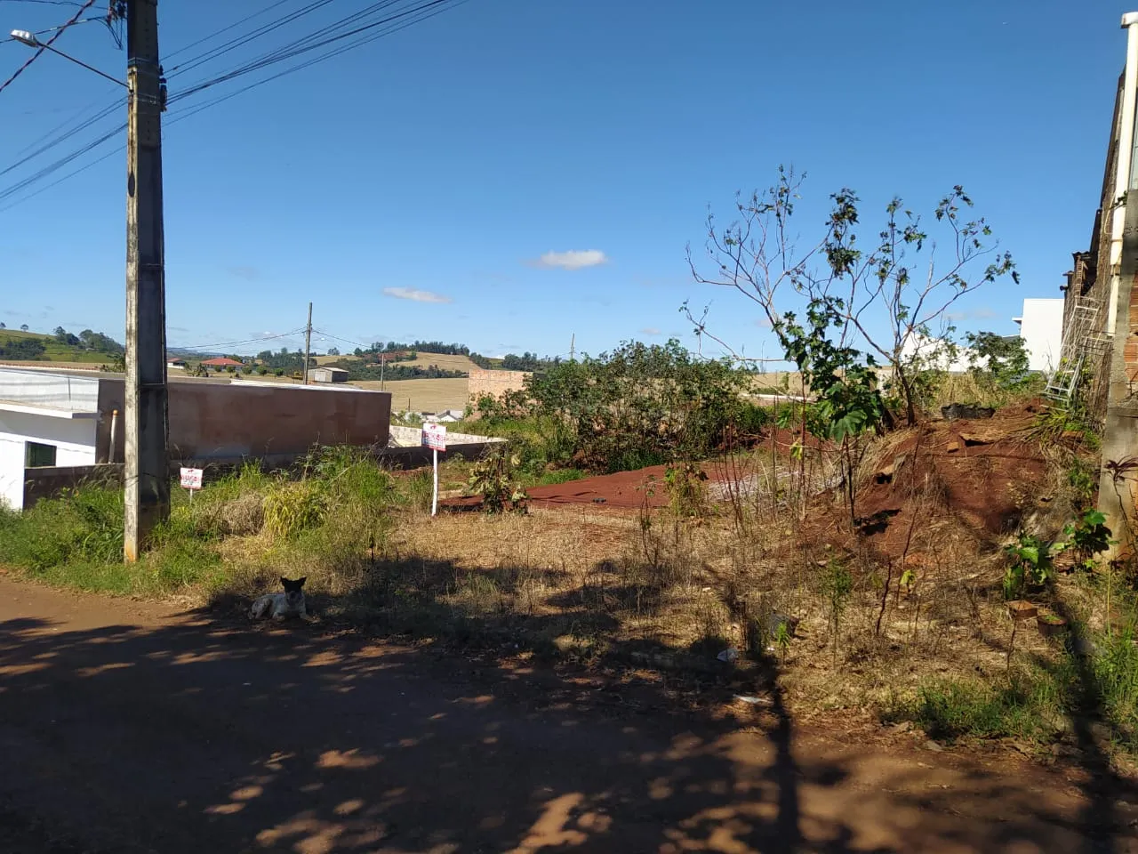 Dois Terrenos a venda em Iretama-PR — foto 2