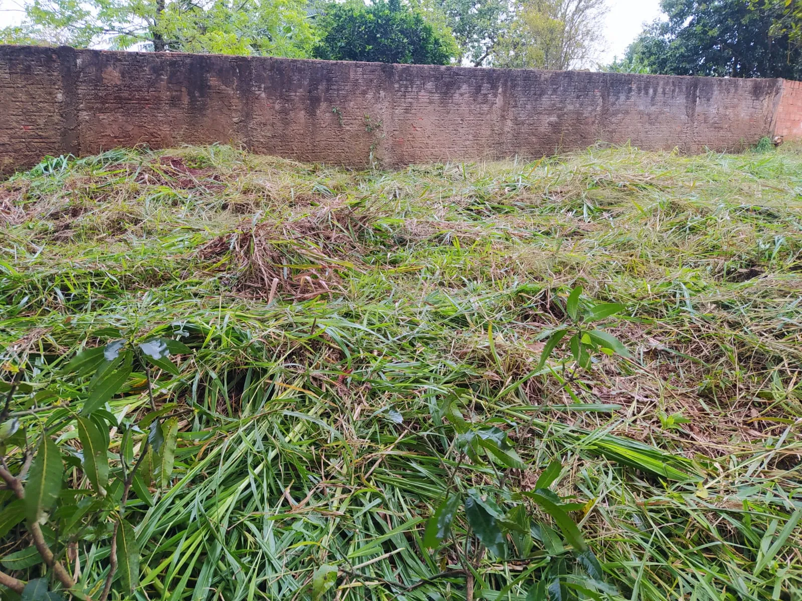 Terreno a venda na Travessa dos Jacintos em Iretama-PR — foto 9