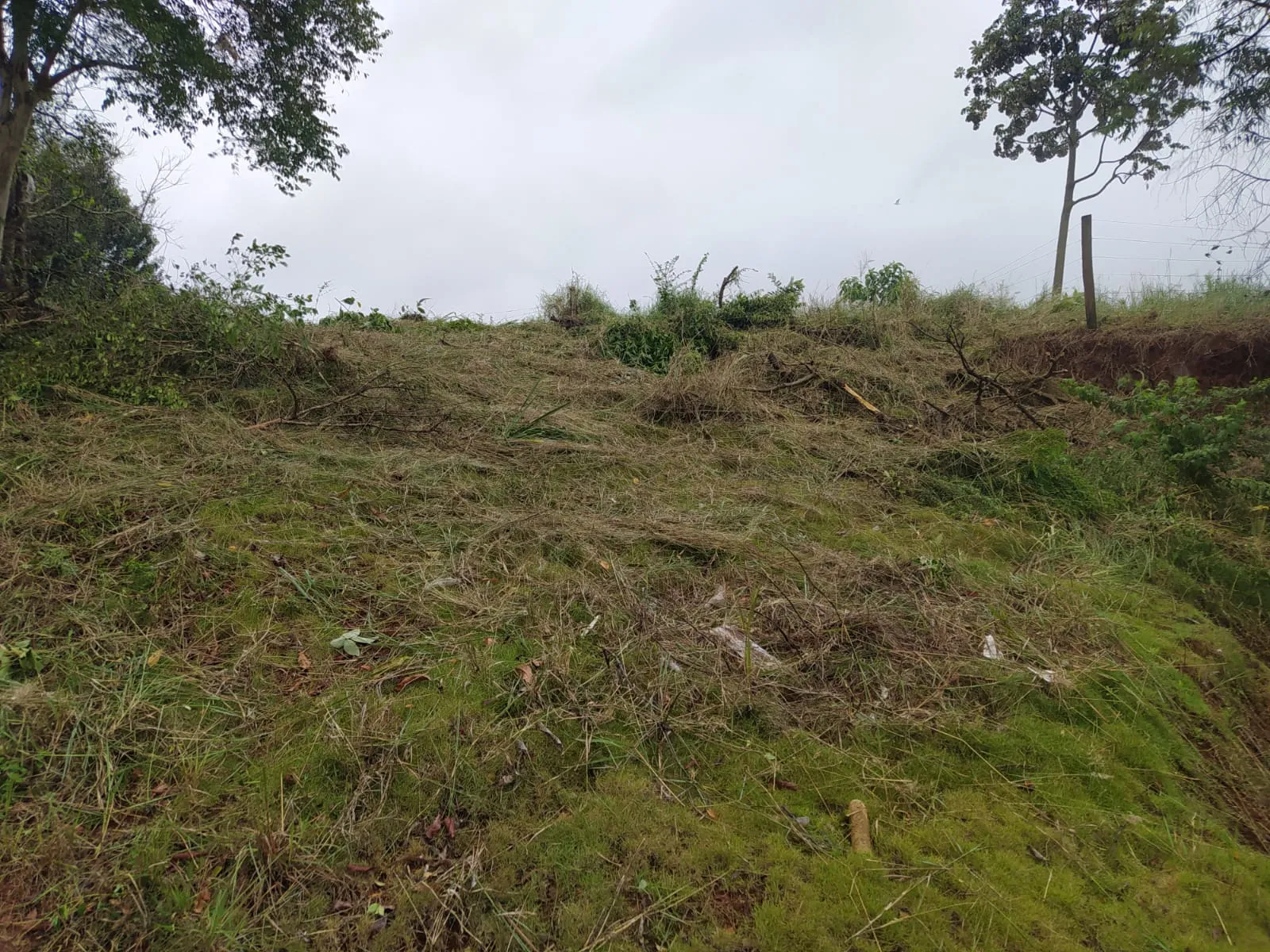 Terreno a venda na Travessa dos Jacintos em Iretama-PR — foto 8