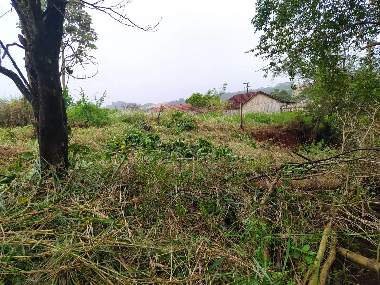 Terreno a venda na Travessa dos Jacintos em Iretama-PR — foto 5