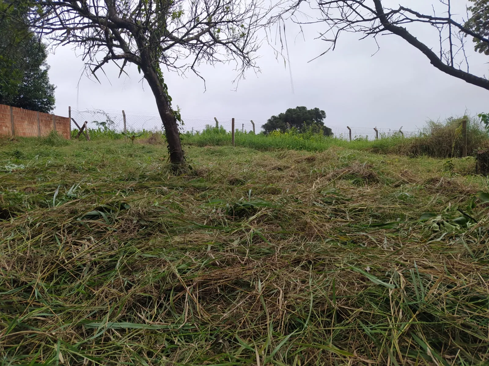 Terreno a venda na Travessa dos Jacintos em Iretama-PR — foto 3