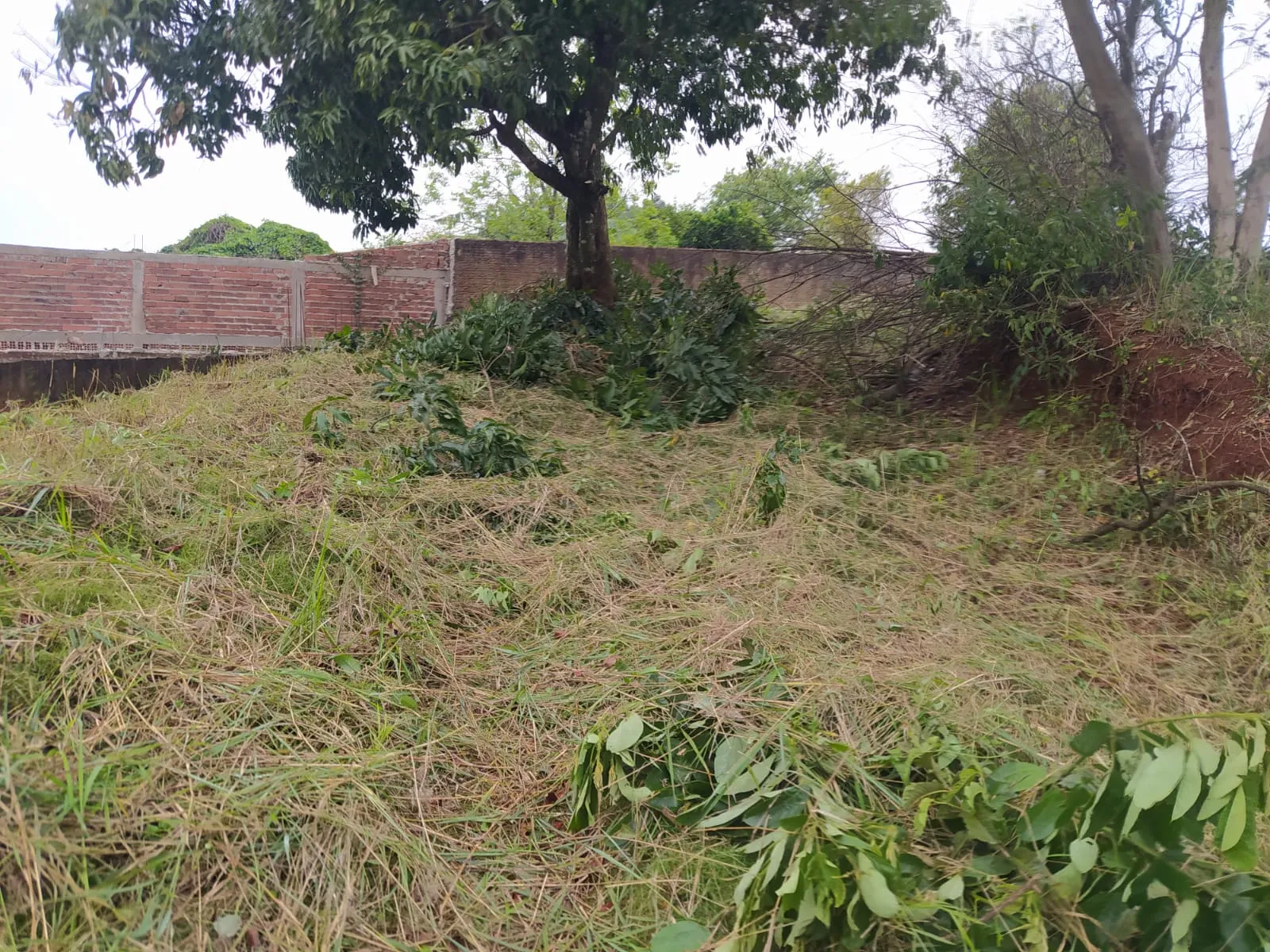 Terreno a venda na Travessa dos Jacintos em Iretama-PR — foto 10