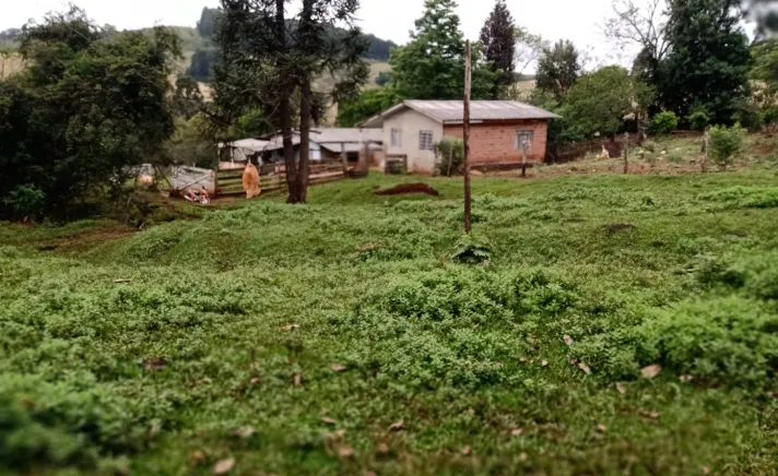 Sítio a venda em Pitanga