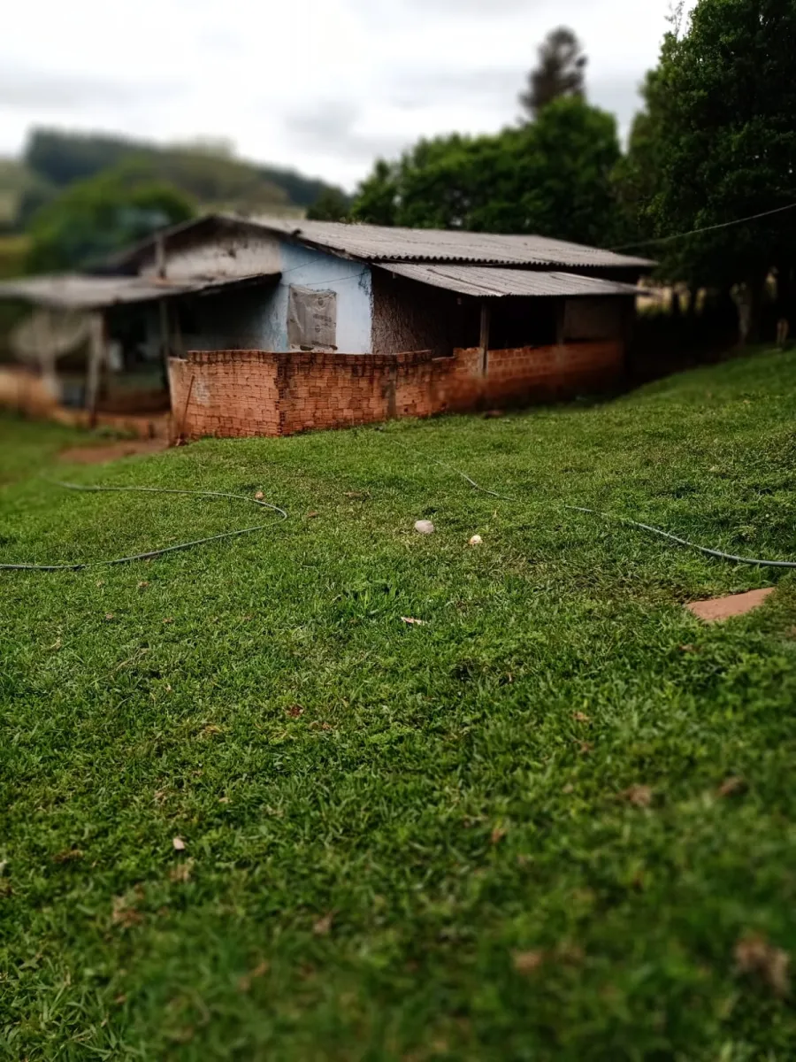 Sítio a venda em Pitanga — foto 3