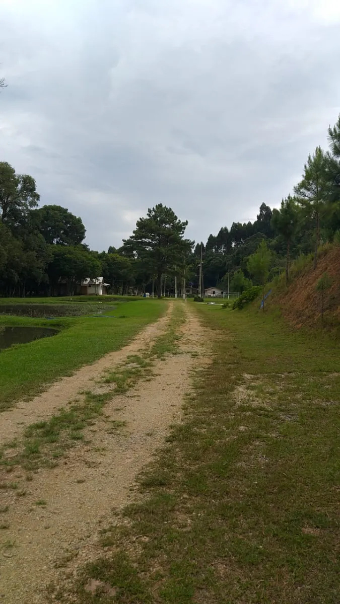 Chácara de Lazer a venda em Quitandinha Paraná — foto 3