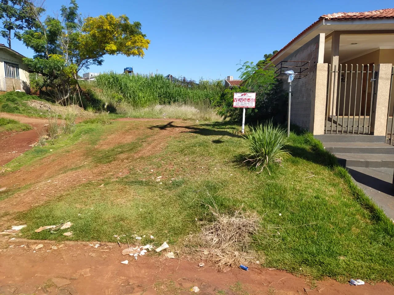 Terreno na rua dos jacintos em Iretama Pr — foto 3