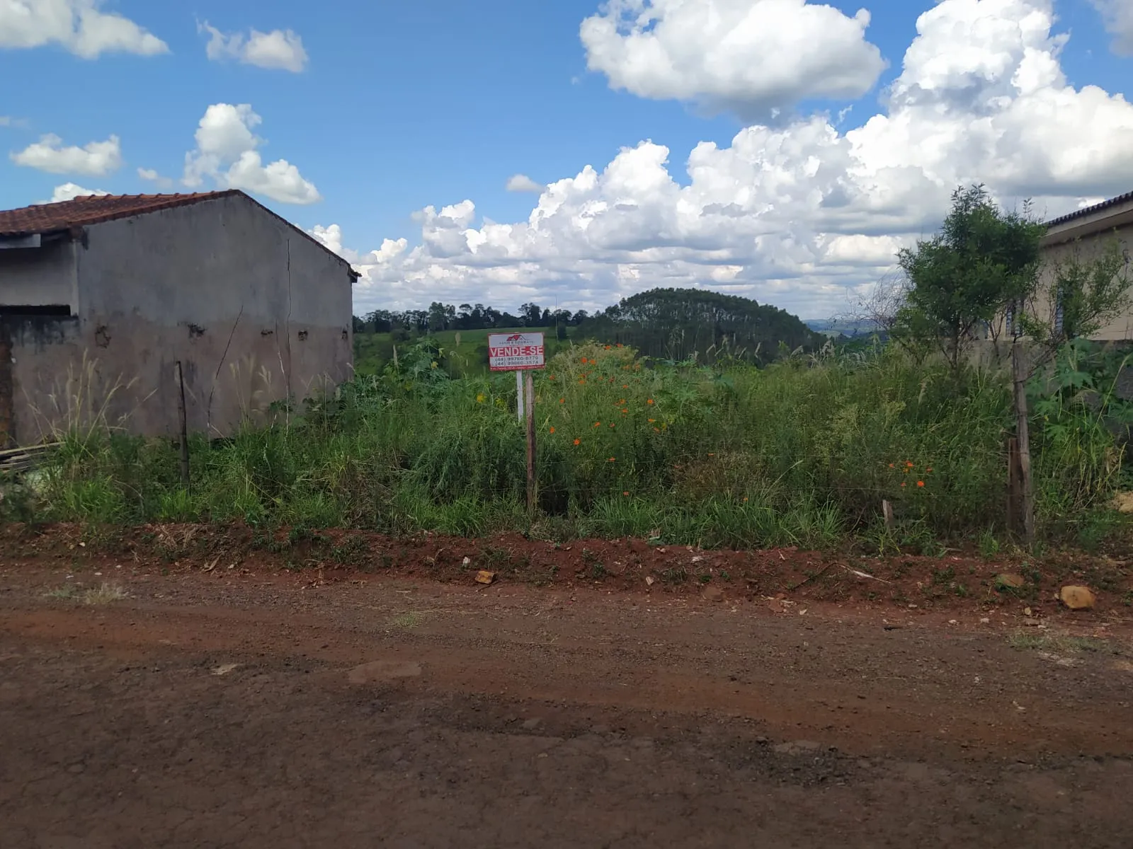 Terreno Próximo ao Ginásio de Esportes — foto 6