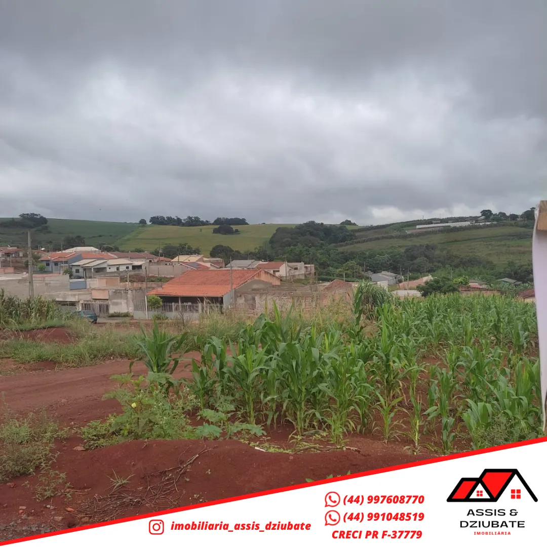 Terreno grande ao lado do Maria Clara em Iretama Pr — foto 3