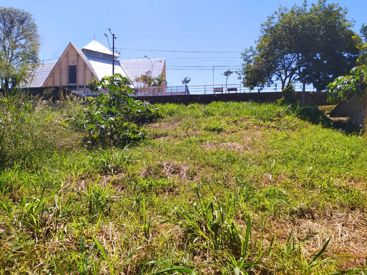 Terreno no Centro de Nova Tebas — foto 6