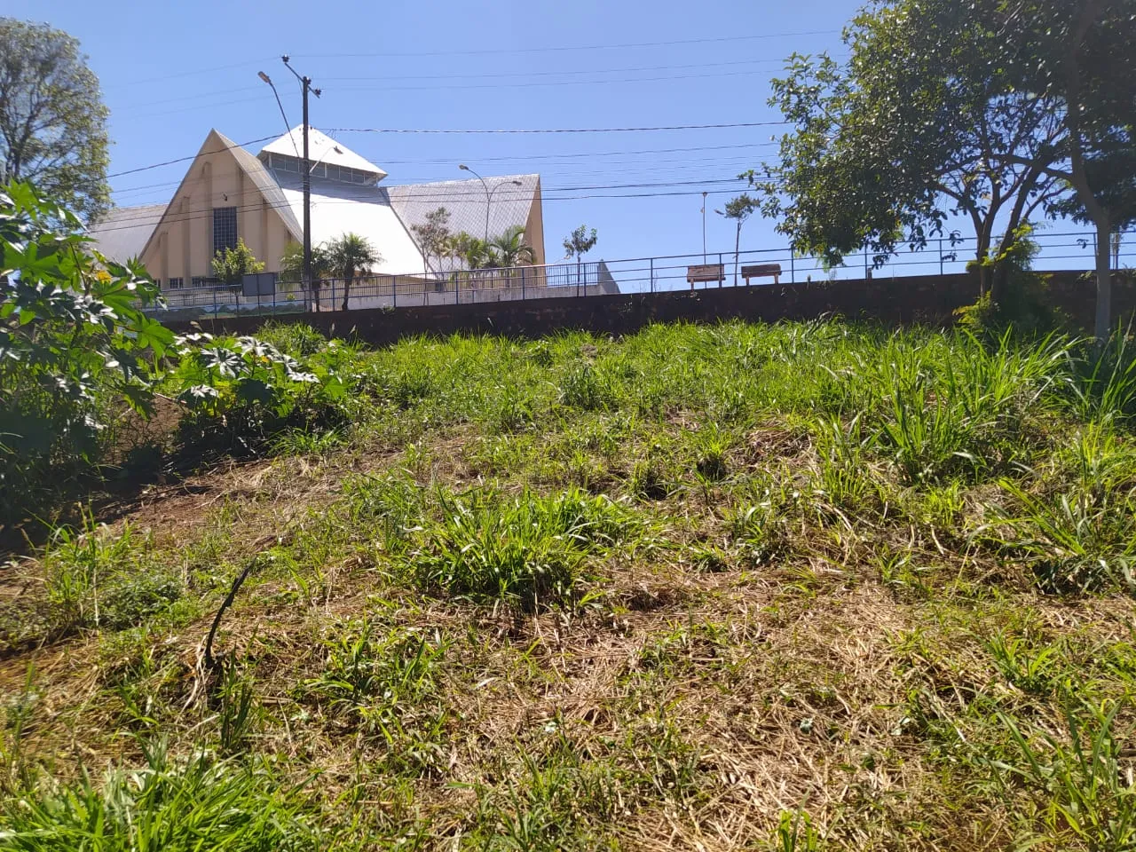 Terreno no Centro de Nova Tebas — foto 5
