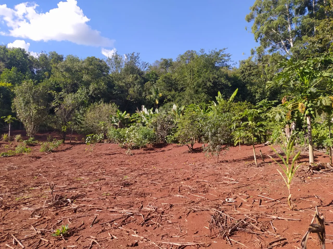 Vila Rural á venda na Explanada em Iretama Paraná — foto 7