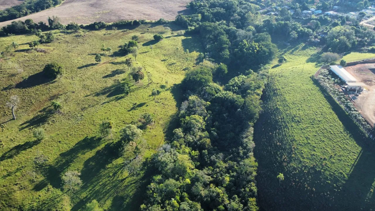 Ótimo Sítio a venda dentro da cidade de Iretama. — foto 2