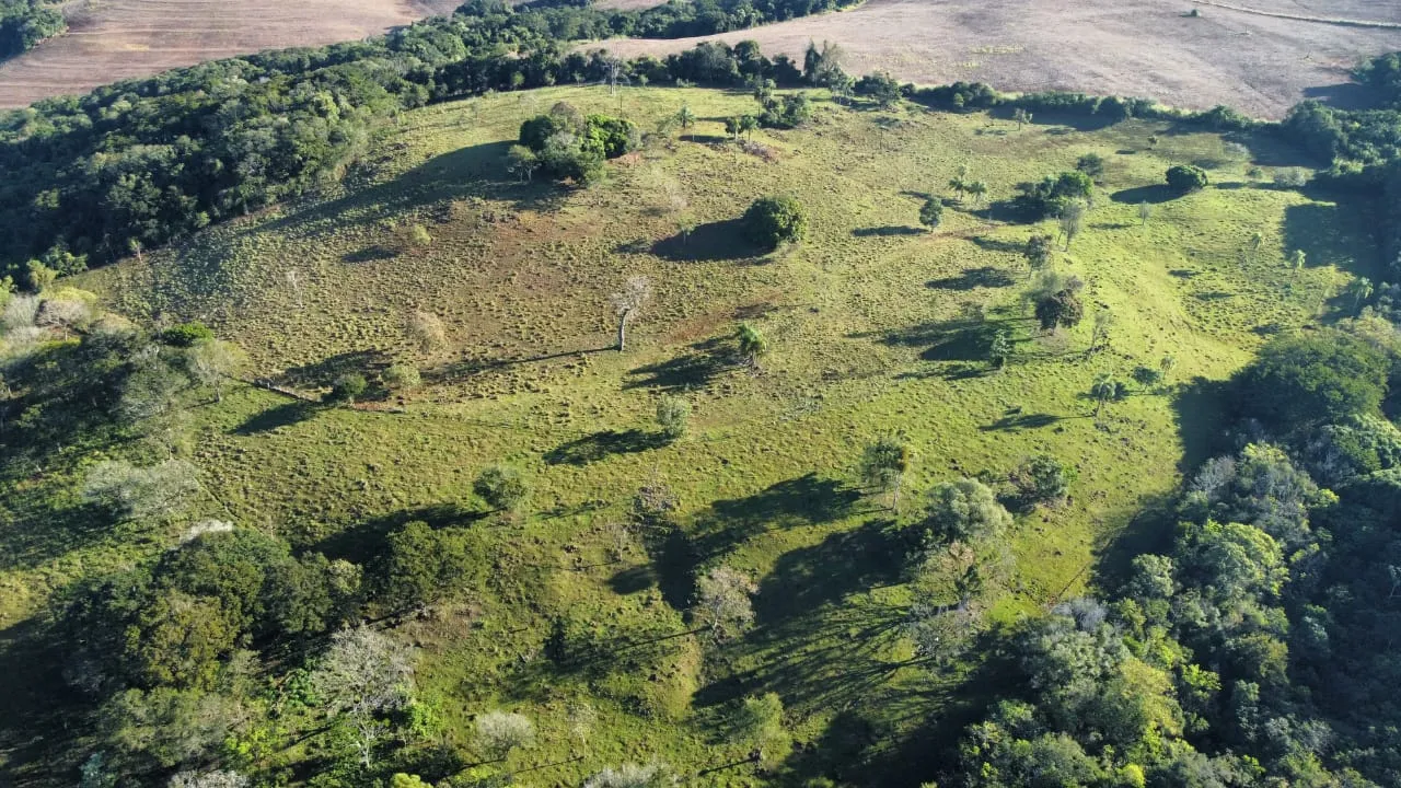 Ótimo Sítio a venda dentro da cidade de Iretama. — foto 22