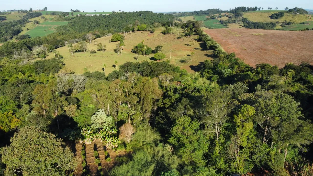Ótimo Sítio a venda dentro da cidade de Iretama. — foto 24
