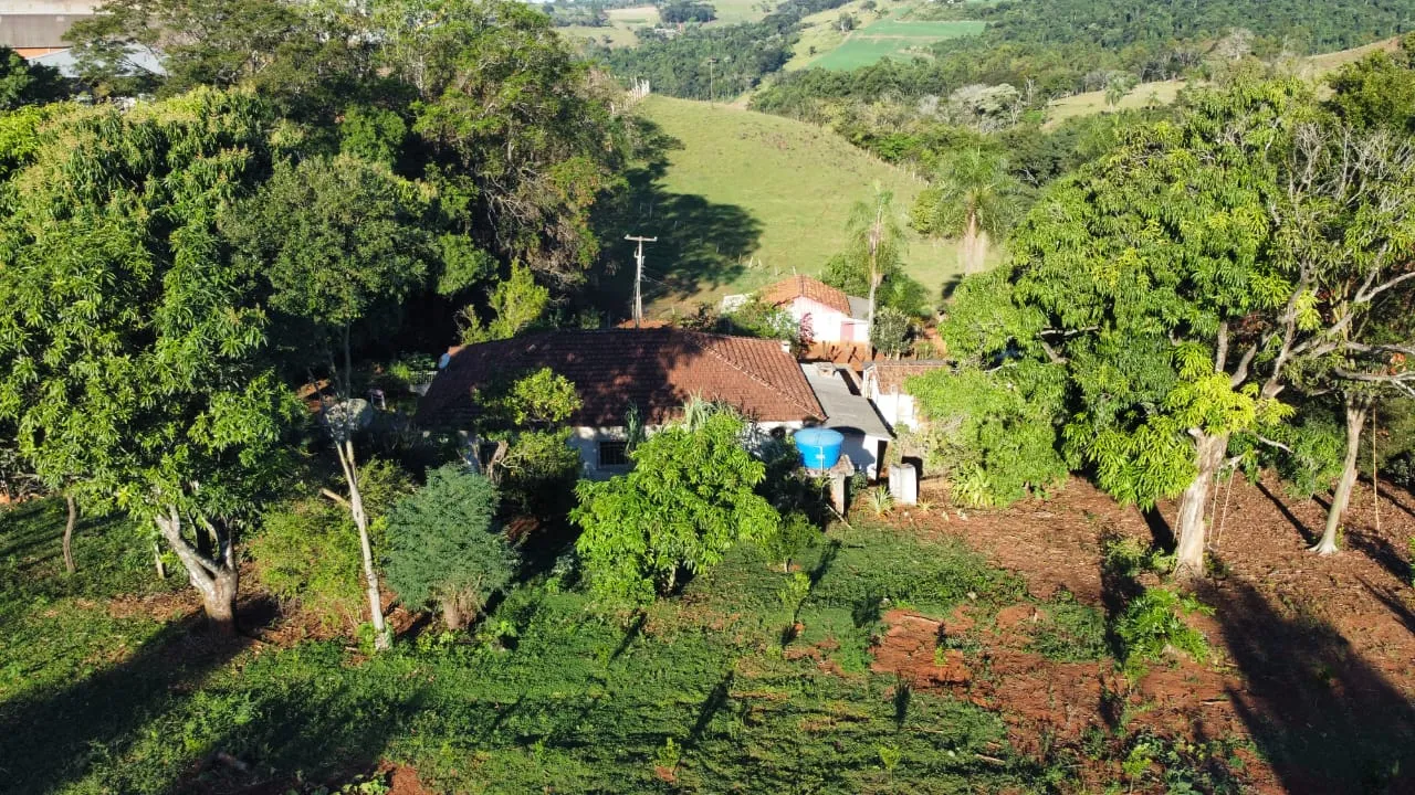 Ótimo Sítio a venda dentro da cidade de Iretama. — foto 14