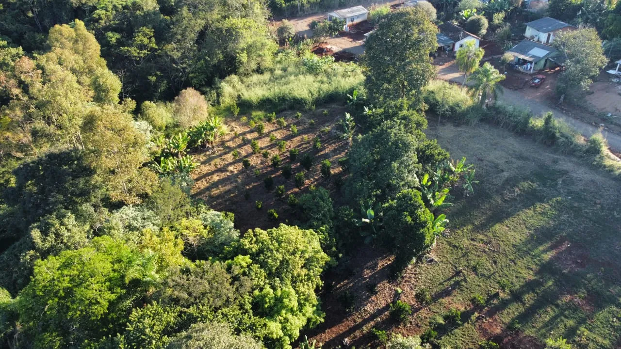 Ótimo Sítio a venda dentro da cidade de Iretama. — foto 29