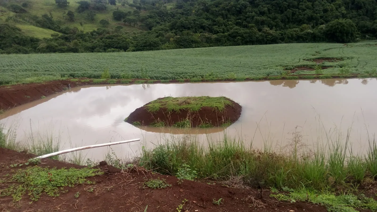 Ótimo Sítio a venda em Nova Tebas-PR. — foto 9