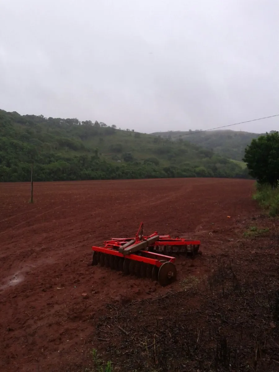 Ótimo Sítio a venda em Nova Tebas-PR. — foto 18