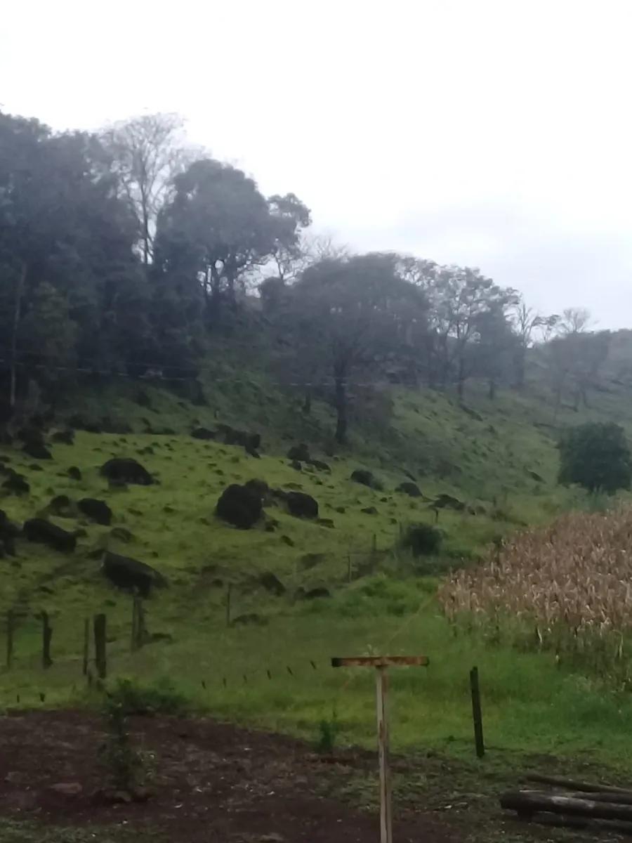 Sítio a venda no distrito de águas de Juremas na cidade de Iretama. — foto 4