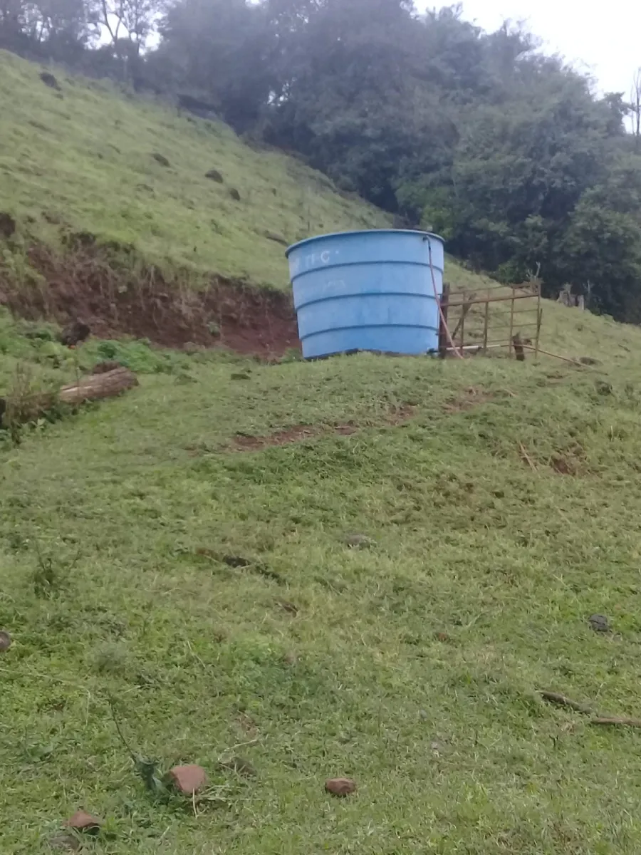 Sítio a venda no distrito de águas de Juremas na cidade de Iretama. — foto 5