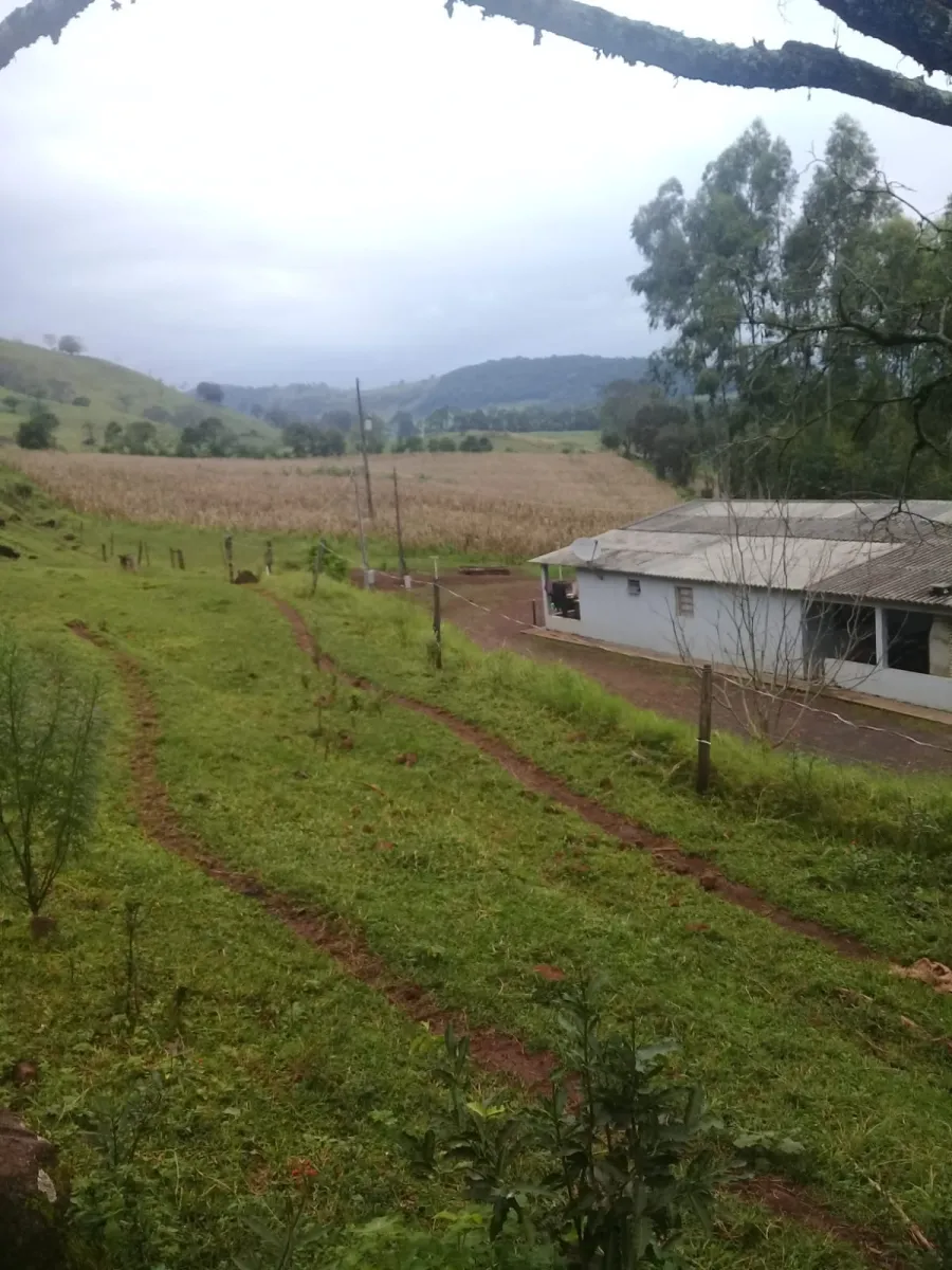 Sítio a venda no distrito de águas de Juremas na cidade de Iretama. — foto 6