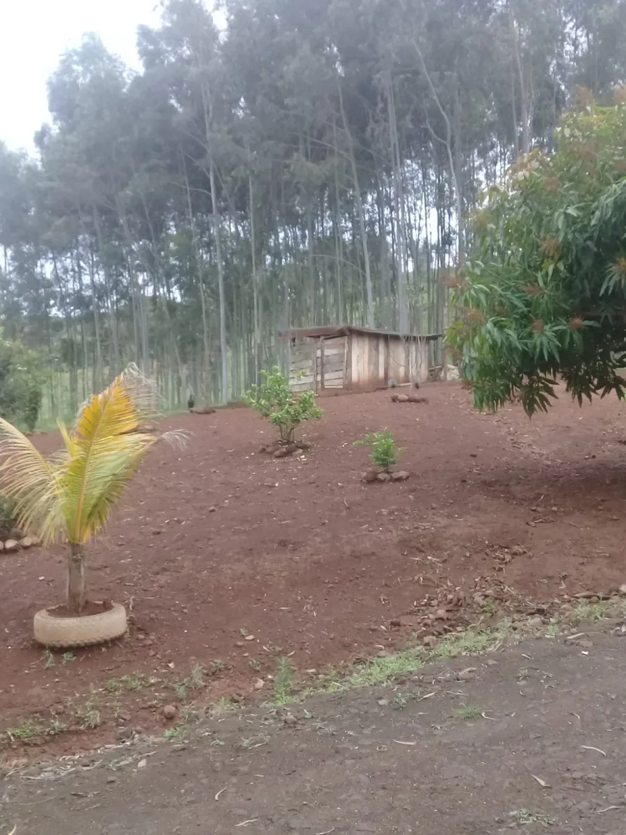 Sítio a venda no distrito de águas de Juremas na cidade de Iretama. — foto 10