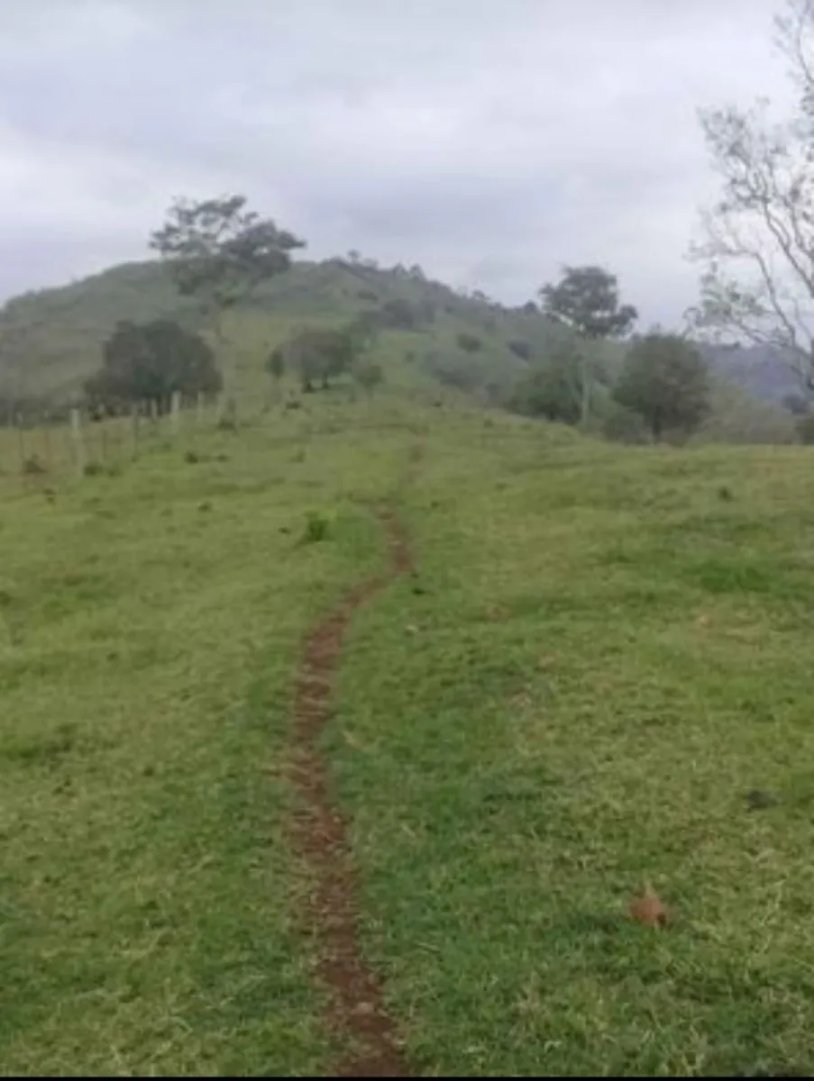 Sítio a venda no distrito de águas de Juremas na cidade de Iretama. — foto 3