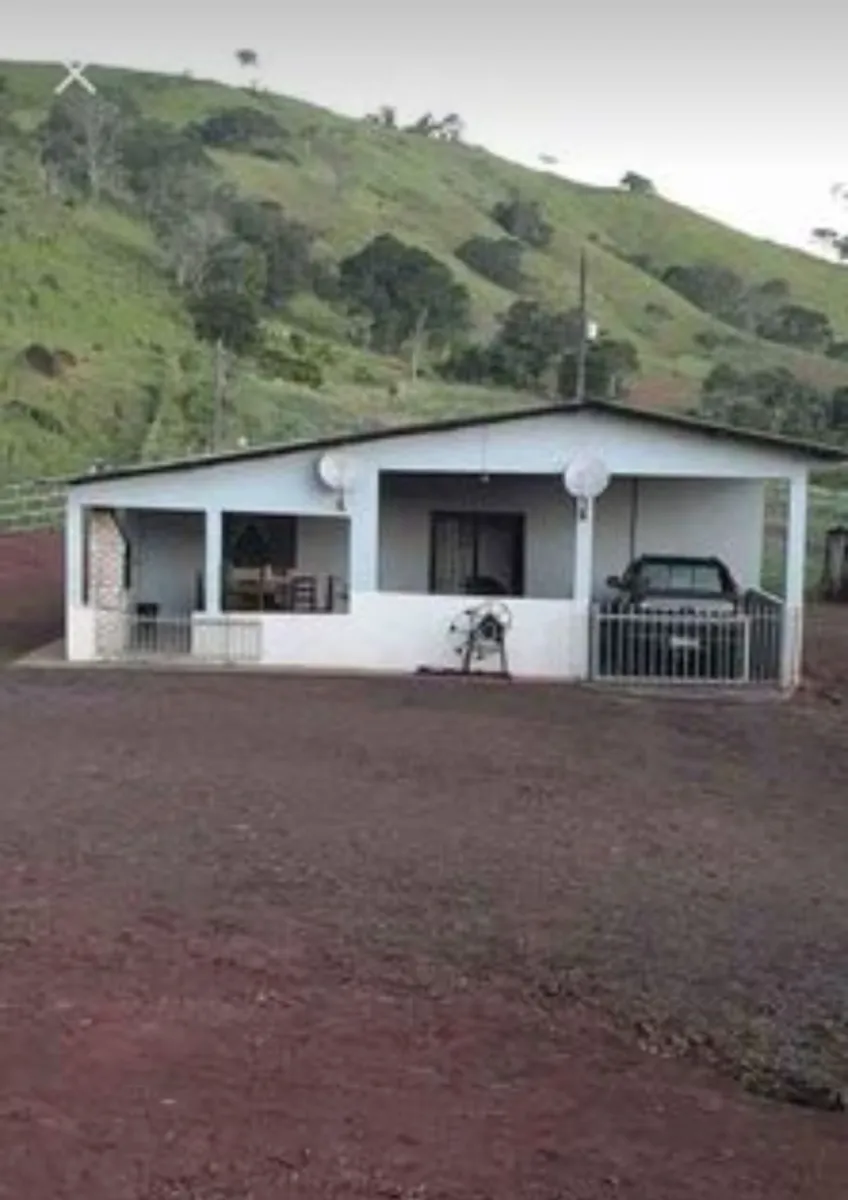 Sítio a venda no distrito de águas de Juremas na cidade de Iretama. — foto 8