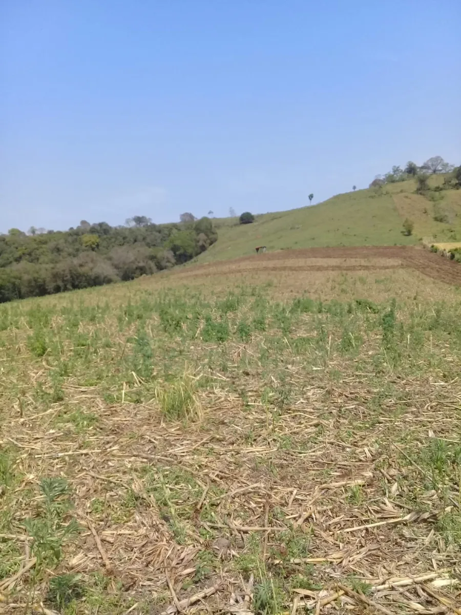 Sítio a venda no distrito de águas de Juremas na cidade de Iretama. — foto 12