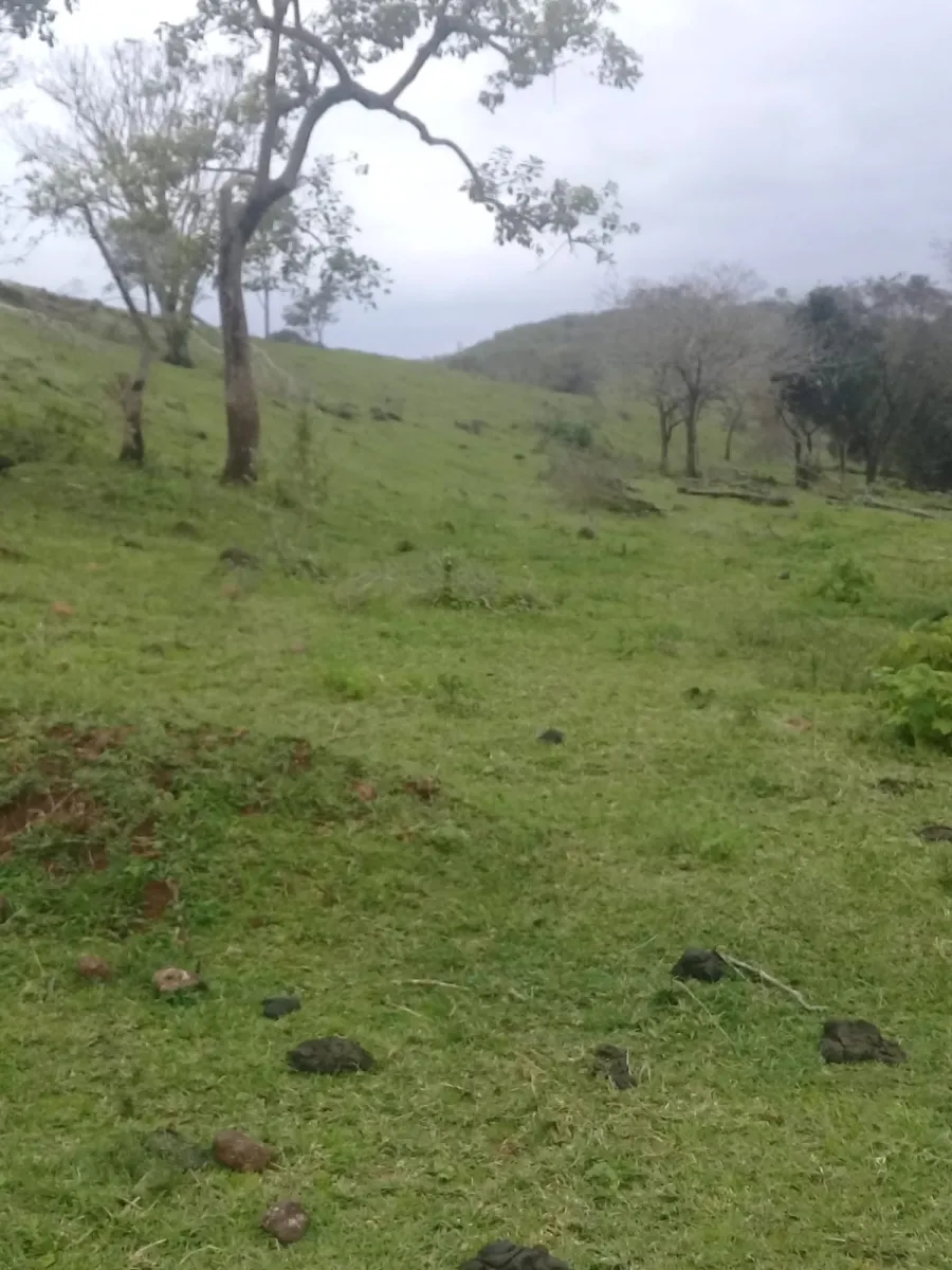 Sítio a venda no distrito de águas de Juremas na cidade de Iretama. — foto 11
