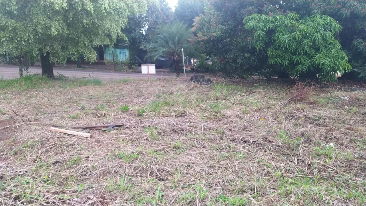 Terreno a venda em Iretama! — foto 5