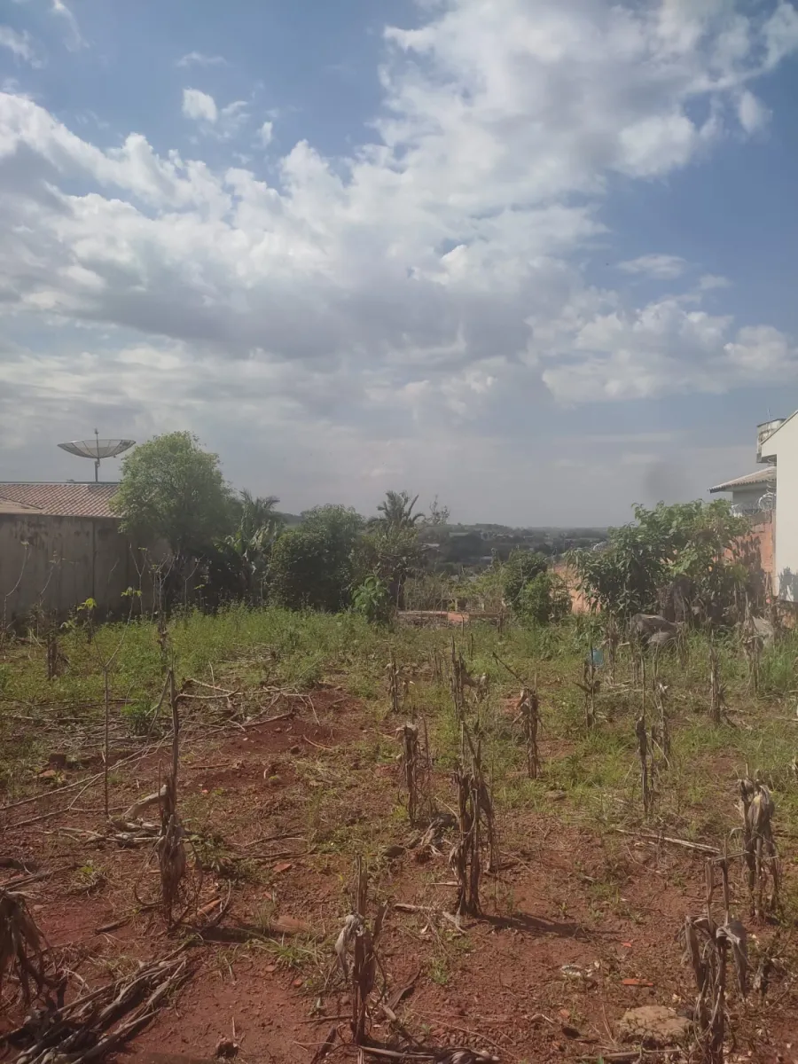 Terreno grande a venda no centro de Iretama ! — foto 7