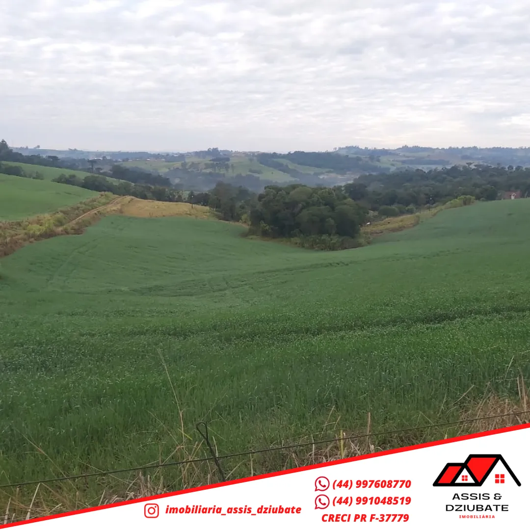 Sítio a venda a 1km da cidade de Iretama. — foto 8