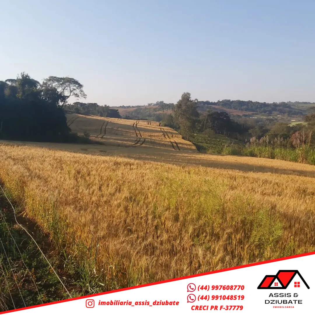 Sítio a venda a 1km da cidade de Iretama. — foto 6