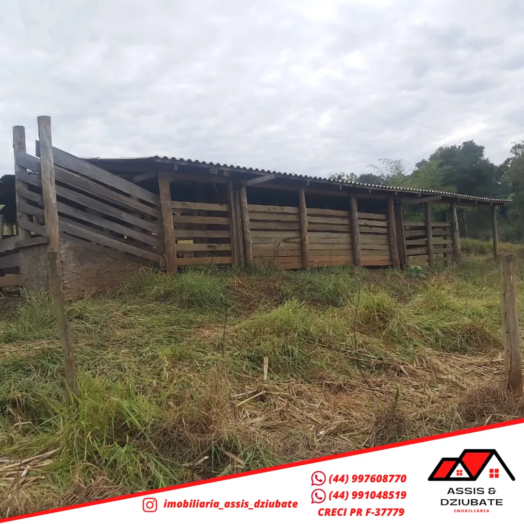 Sítio a venda a 1km da cidade de Iretama. — foto 4