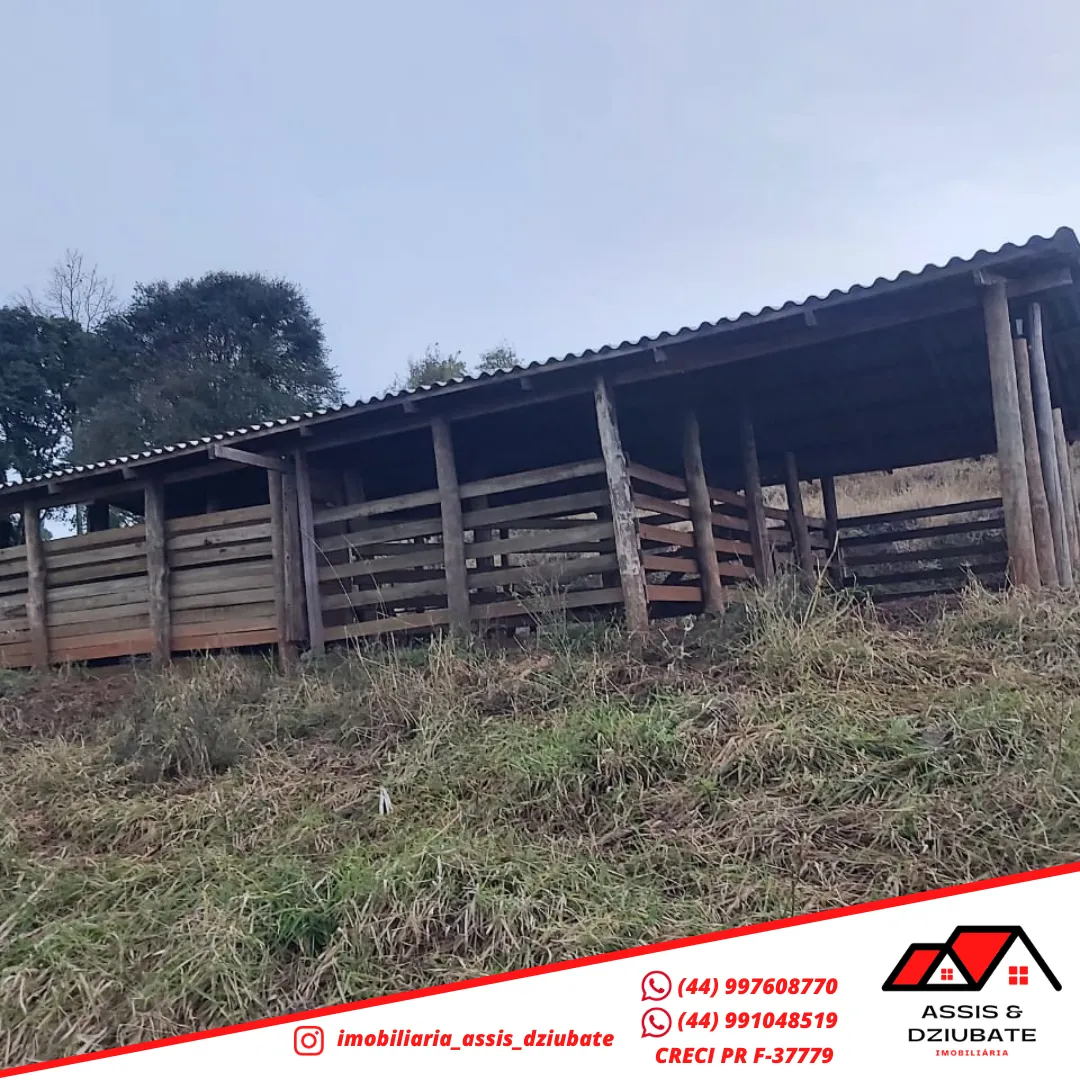 Sítio a venda a 1km da cidade de Iretama. — foto 5