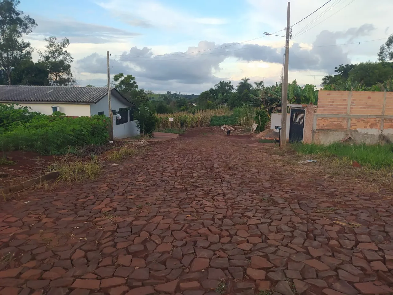 Terreno a venda em Iretama-PR !!! — foto 4