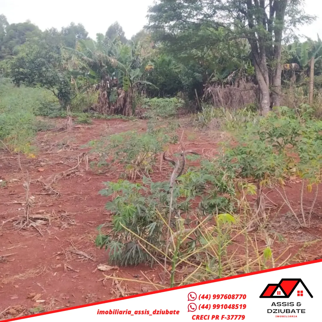 Terreno a venda em Iretama ! — foto 3