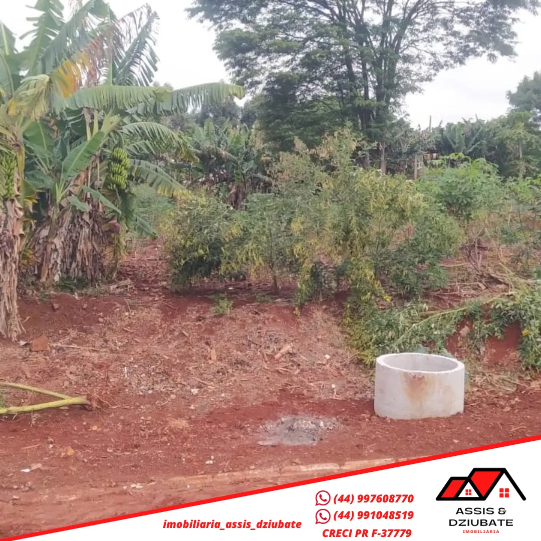 Terreno a venda em Iretama ! — foto 2