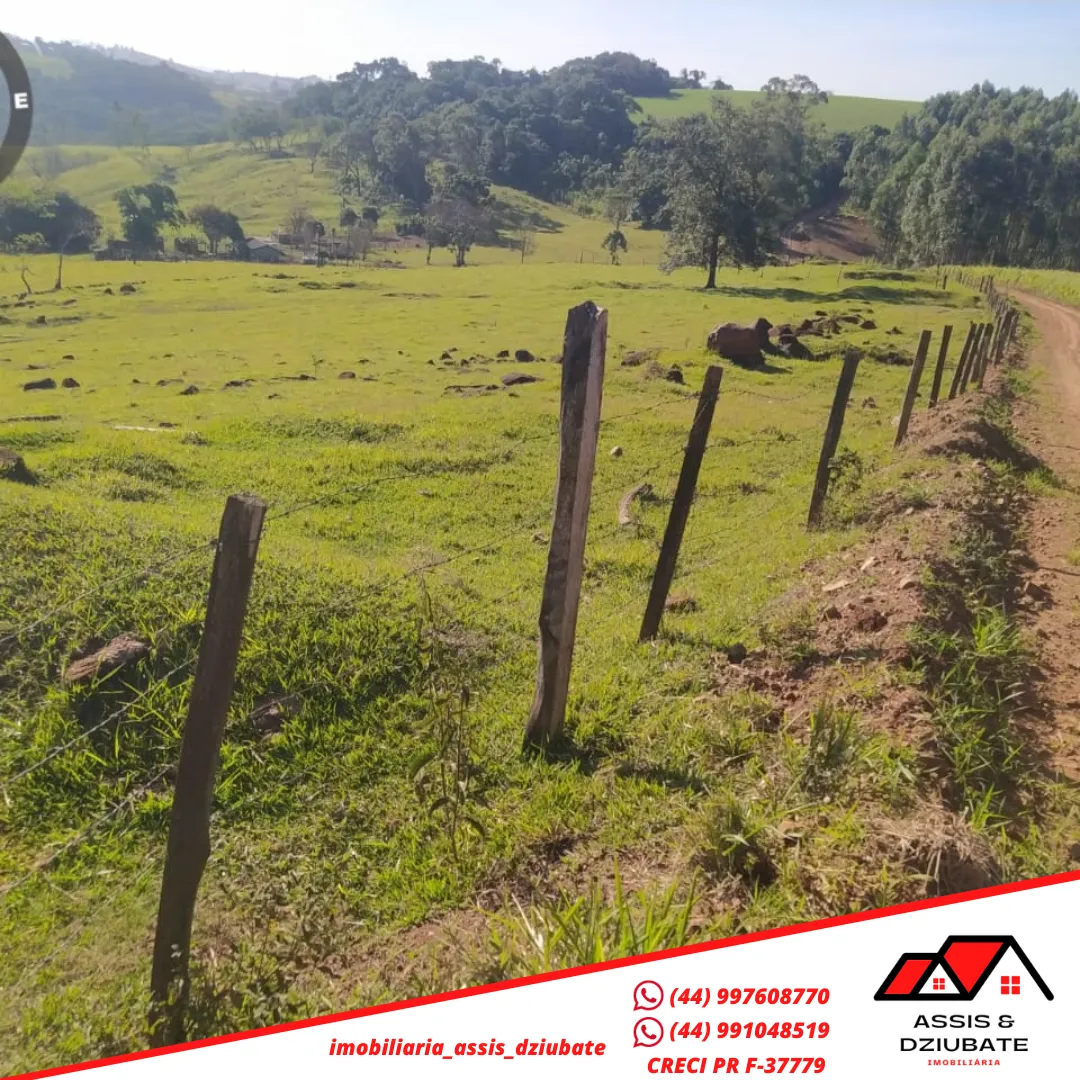 Sítio a venda próximo da cidade de Iretama. — foto 6