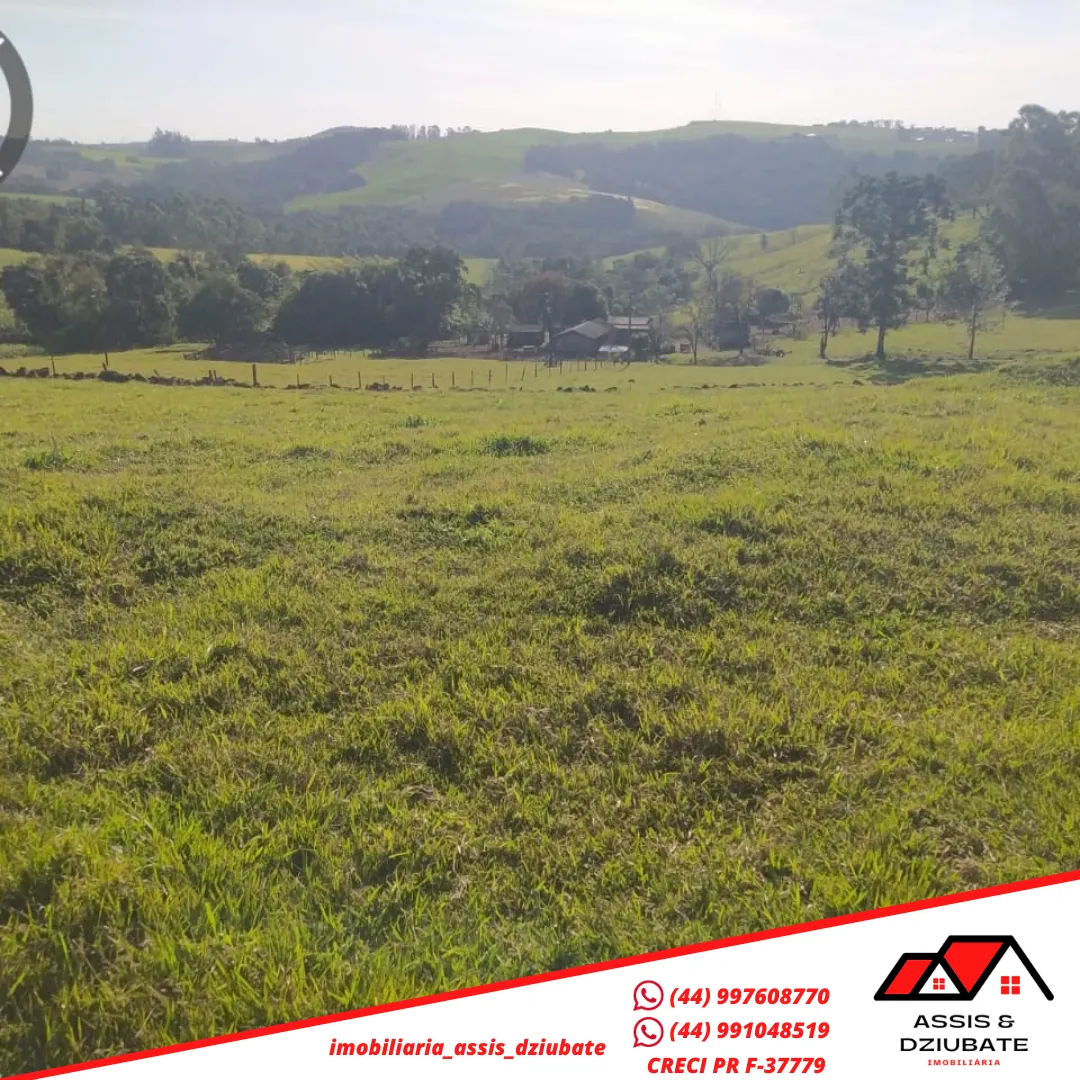 Sítio a venda próximo da cidade de Iretama. — foto 4