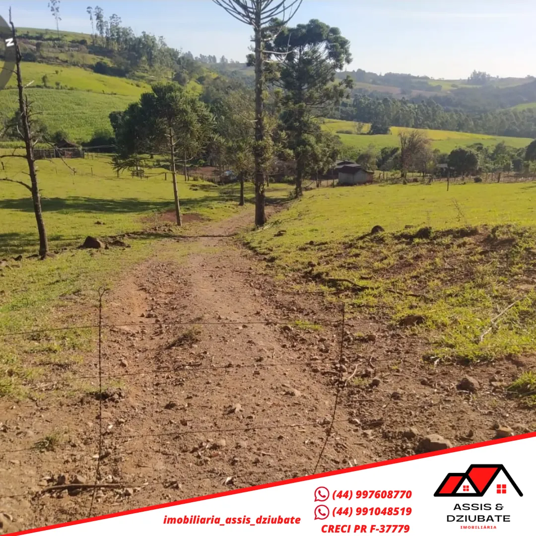 Sítio a venda próximo da cidade de Iretama. — foto 5