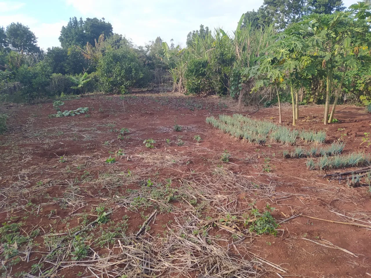 Vila Rural a venda em Iretama ! — foto 8