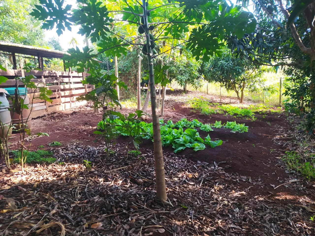 Vila Rural a venda em Iretama ! — foto 7