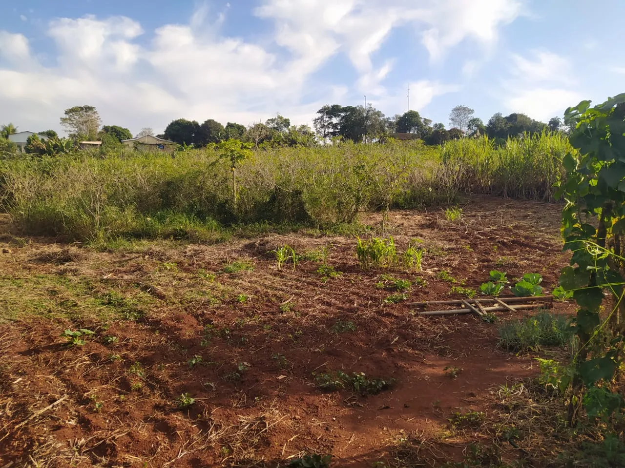 Vila Rural a venda em Iretama ! — foto 9