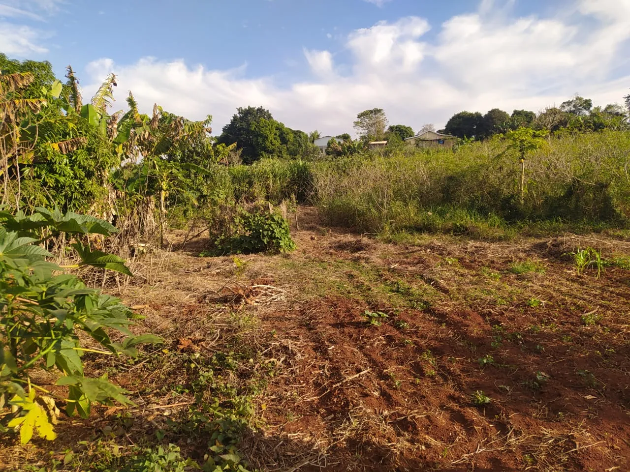 Vila Rural a venda em Iretama ! — foto 6